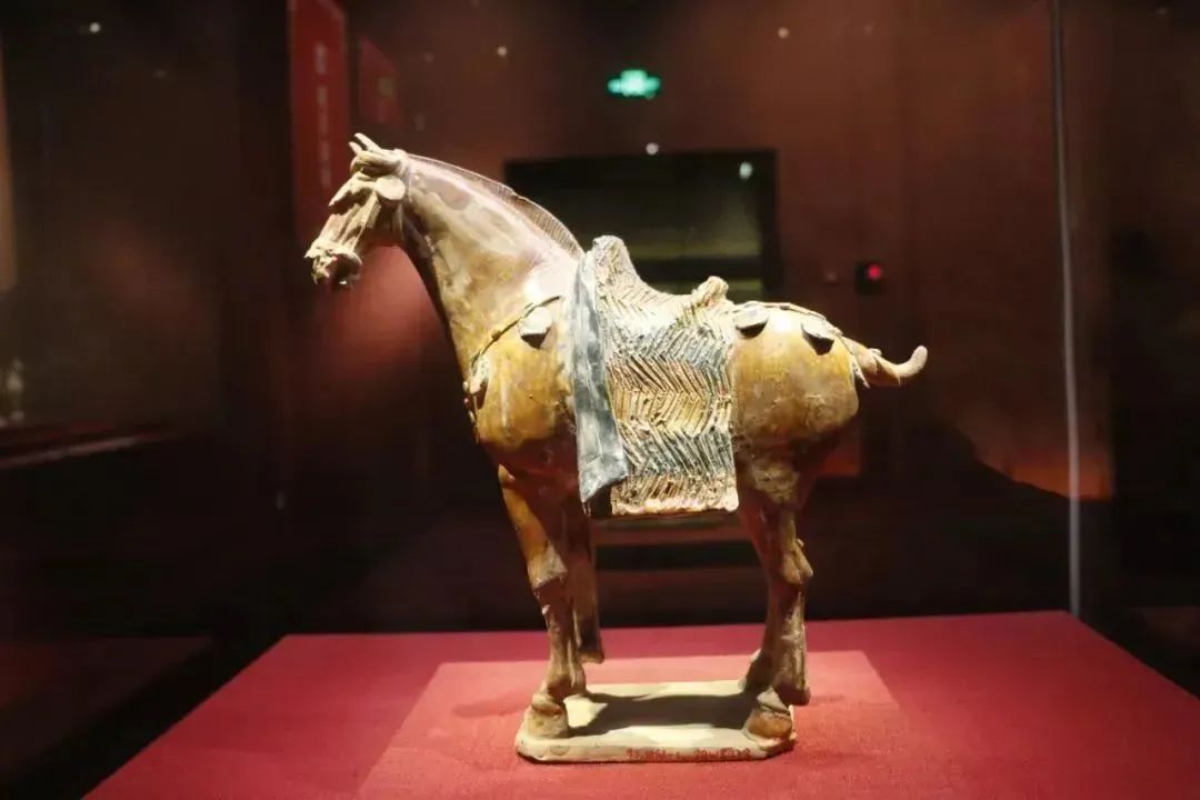【立小•博物馆课程】我在博物馆里画文物｜国际博物馆日主题实践活动