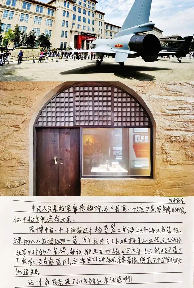 【立小•博物馆课程】我在博物馆里画文物｜国际博物馆日主题实践活动