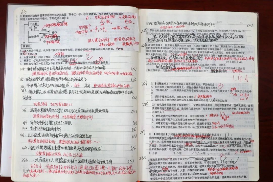 勤思善理 落笔盈尺丨改错本让学习有迹可循