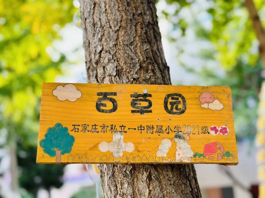 【立小•校园】让立娃的成长诗意斑斓