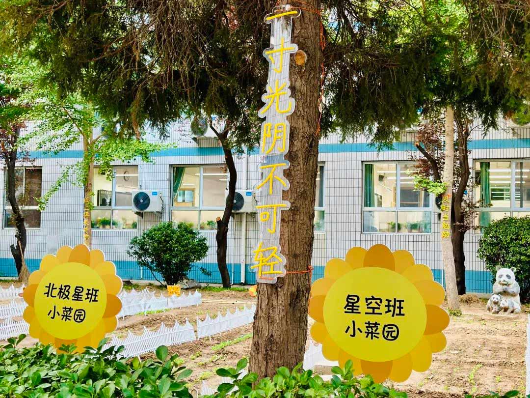 【立小•校园】让立娃的成长诗意斑斓