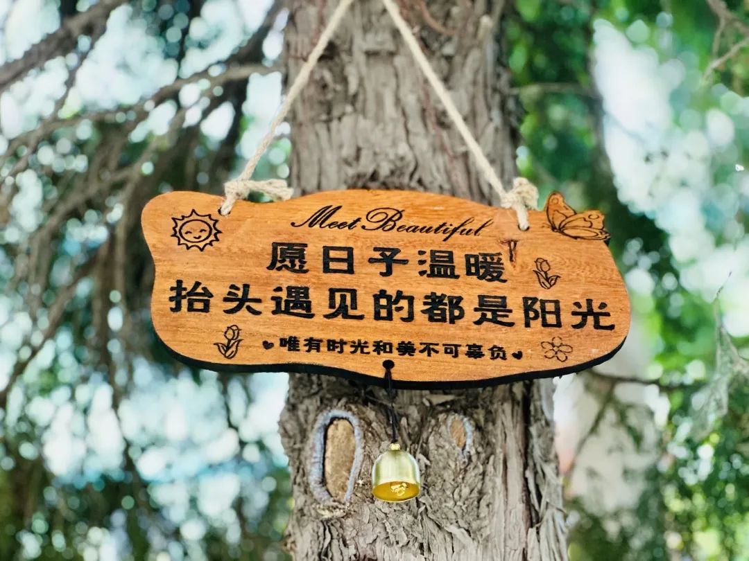 【立小•校园】让立娃的成长诗意斑斓