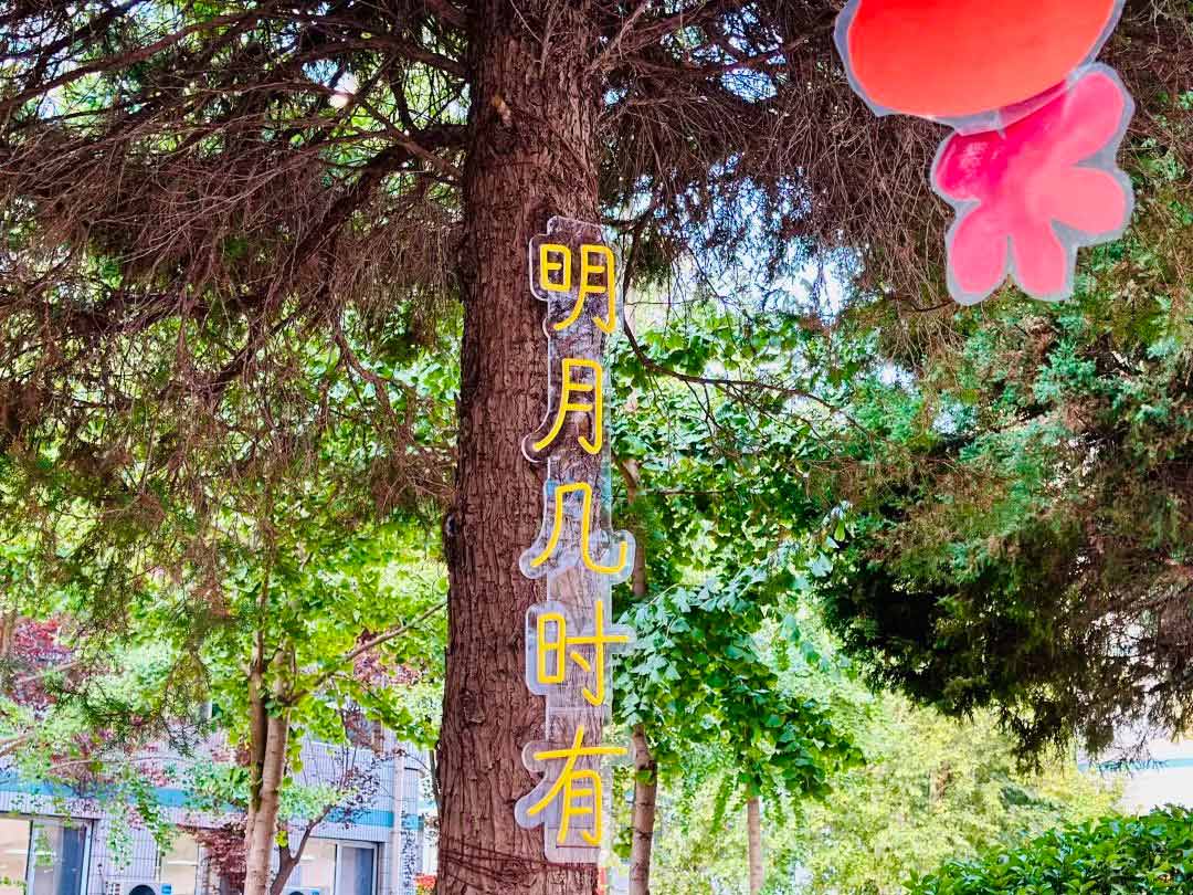 【立小•校园】让立娃的成长诗意斑斓