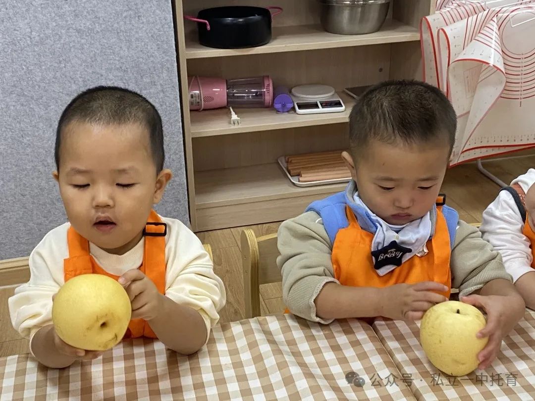 【宝龙托育】食育课——秋冬限定·小吊梨汤