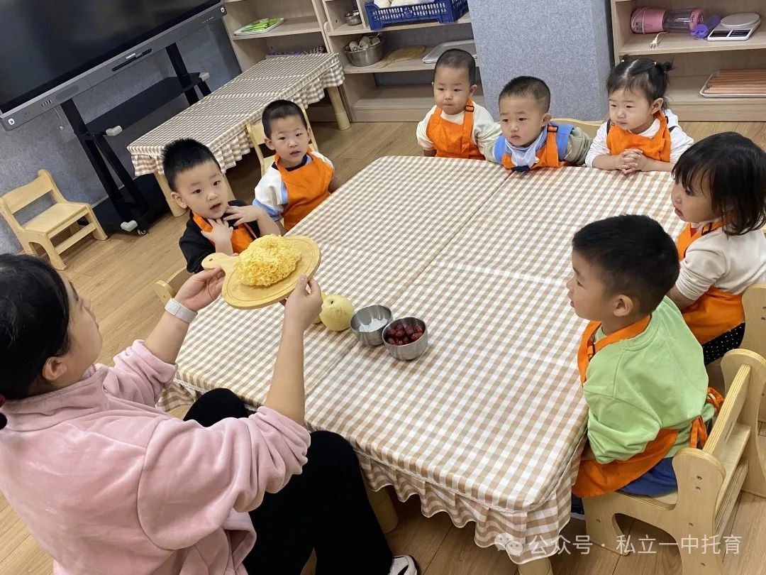 【宝龙托育】食育课——秋冬限定·小吊梨汤
