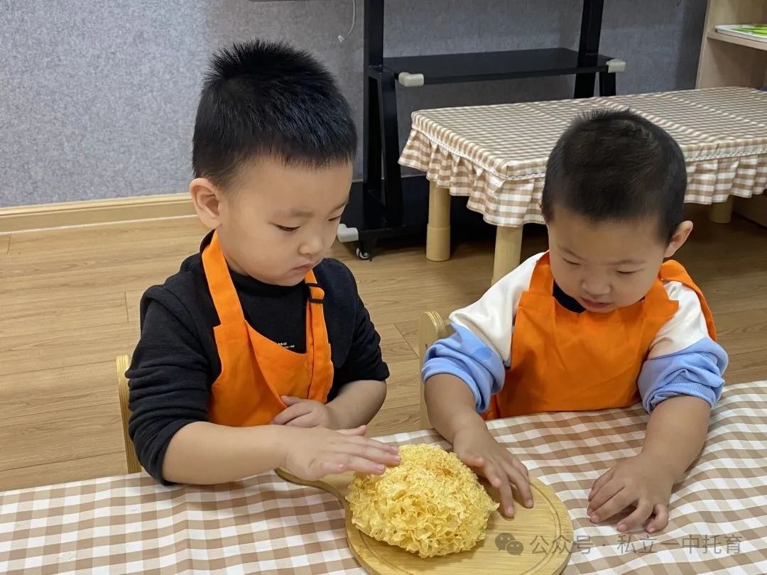 【宝龙托育】食育课——秋冬限定·小吊梨汤