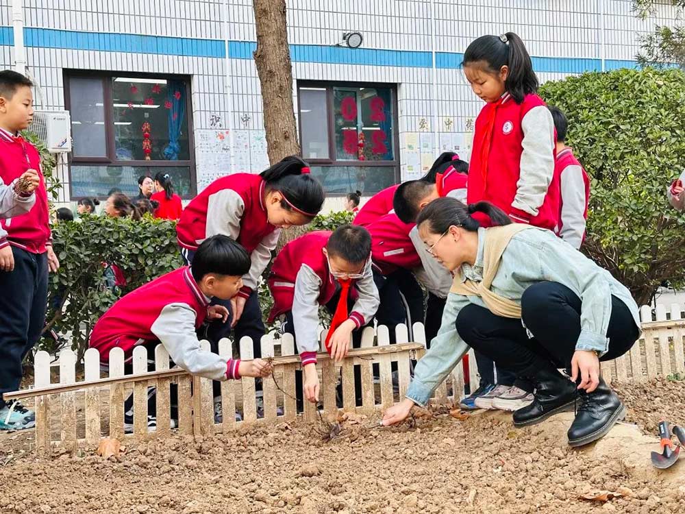 【立小 • 美育】当植树节撞上中草药种植，这波操作太绝了！