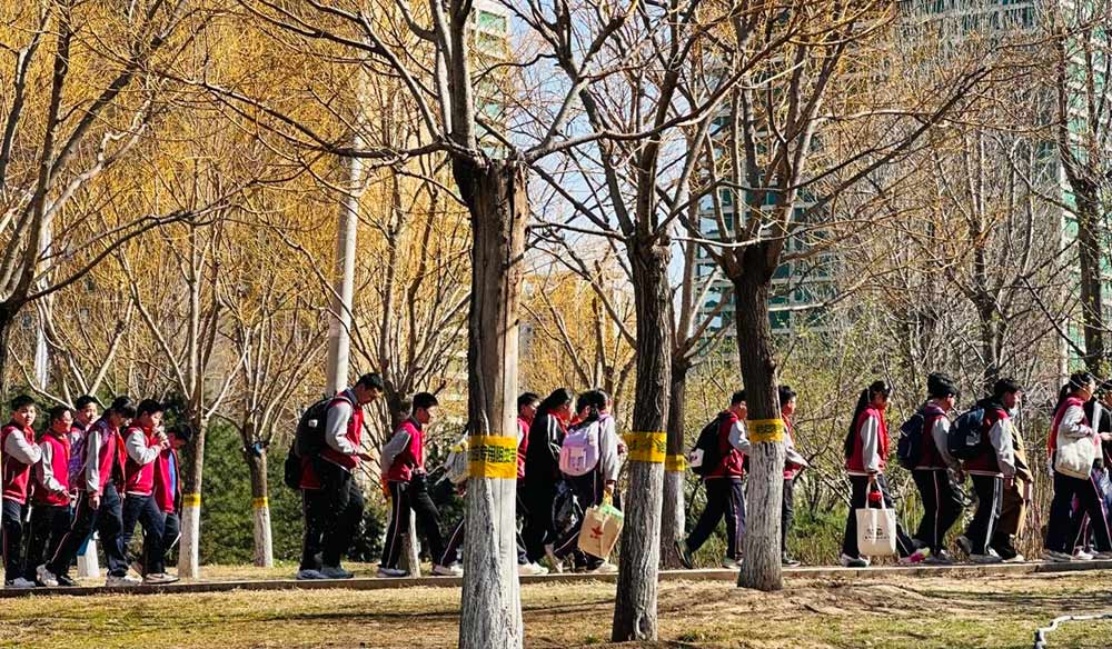 【立小•德育】春日从画笔出发 邂逅六年级那炫彩的百日时光