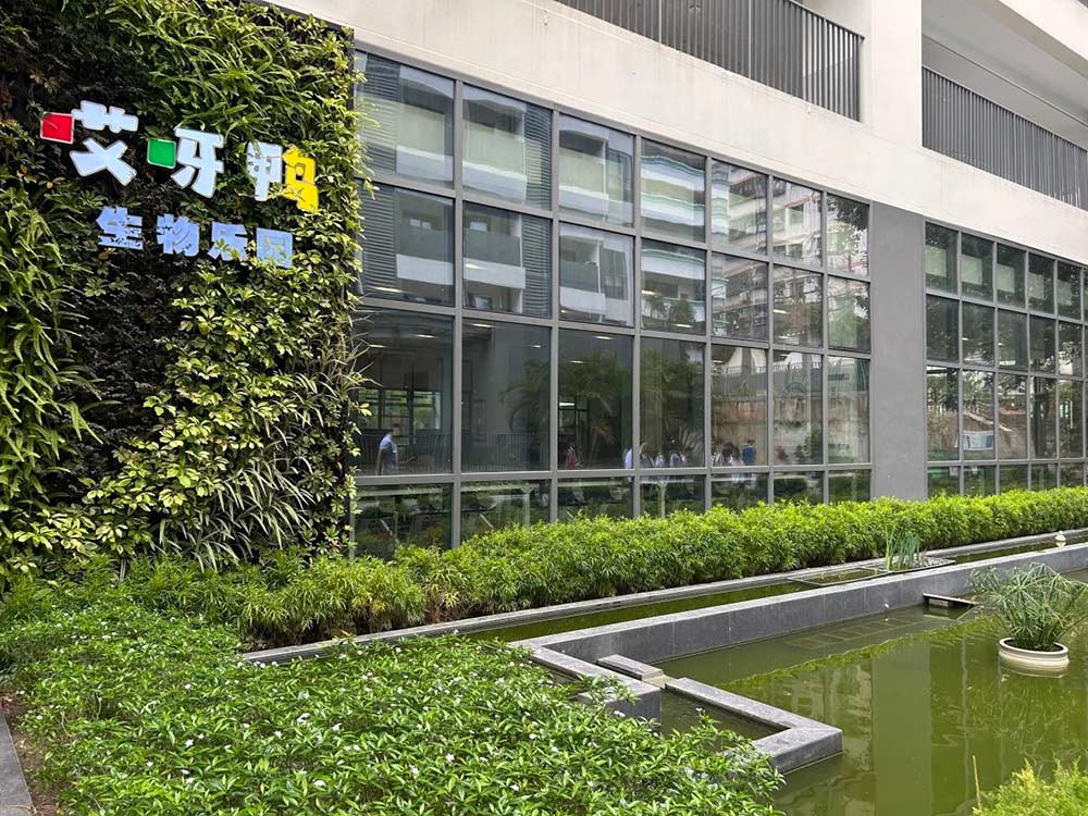 【立小•访学】童行粤港澳 访学友谊校｜粤港澳名校访学纪实