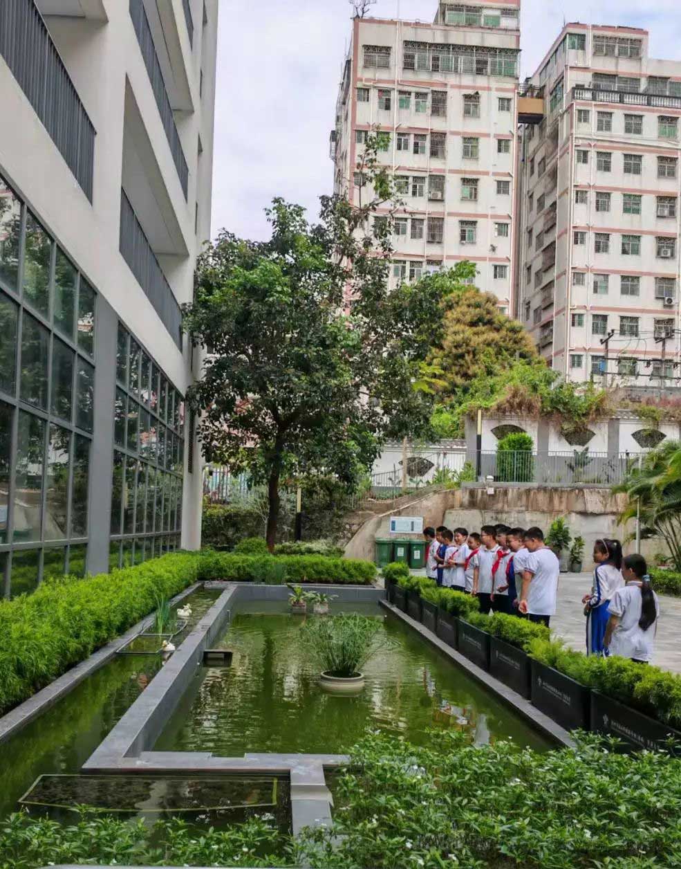 【立小•访学】童行粤港澳 访学友谊校｜粤港澳名校访学纪实