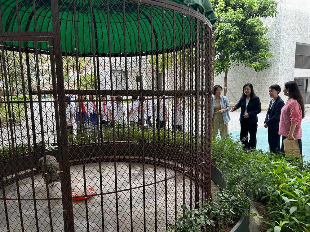 【立小•访学】童行粤港澳 访学友谊校｜粤港澳名校访学纪实