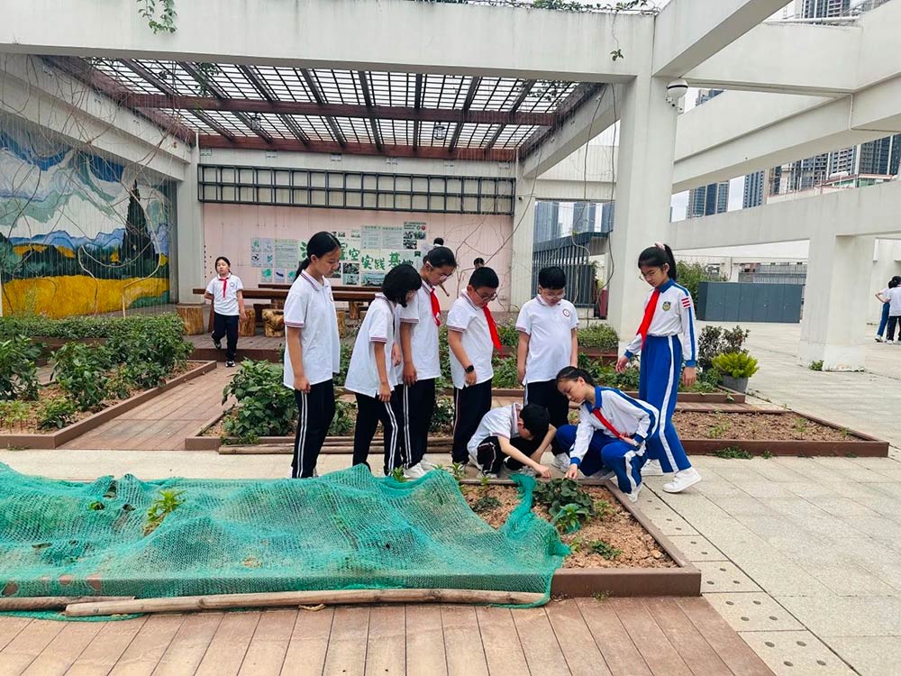 【立小•访学】童行粤港澳 访学友谊校｜粤港澳名校访学纪实
