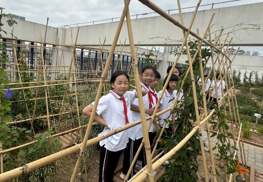 【立小•访学】童行粤港澳 访学友谊校｜粤港澳名校访学纪实