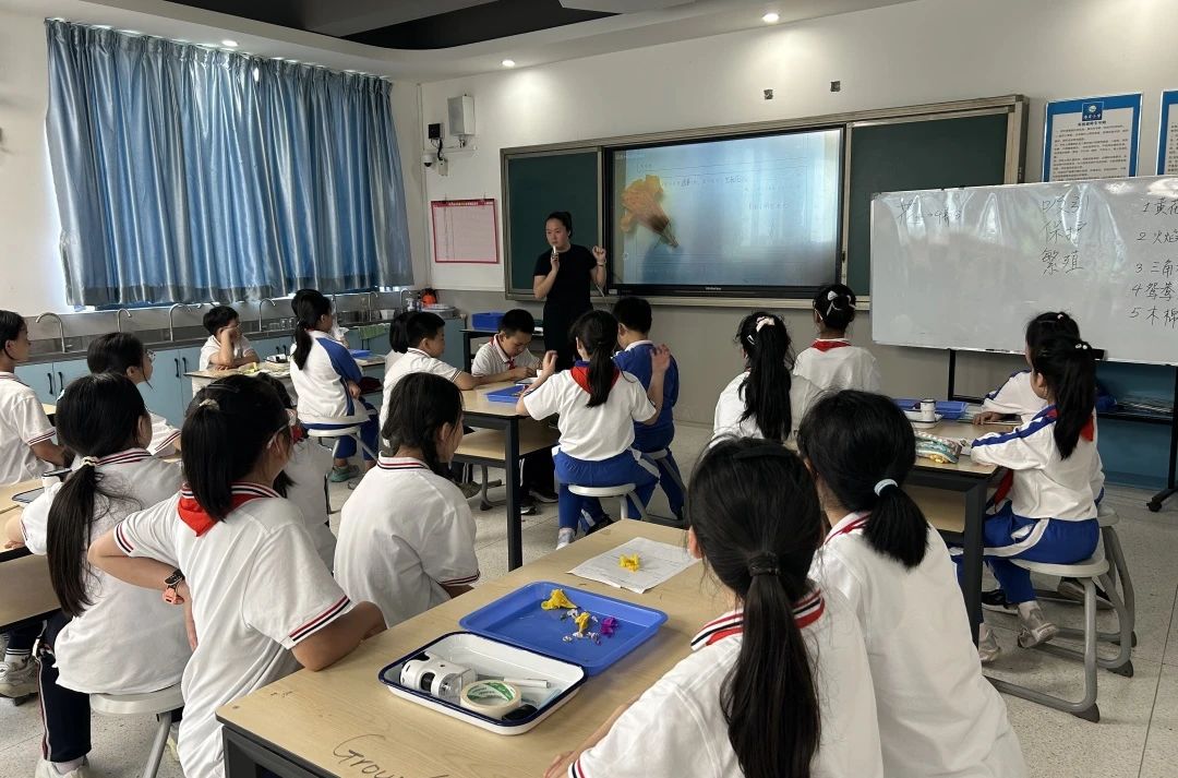 【立小•访学】童行粤港澳 访学友谊校｜粤港澳名校访学纪实