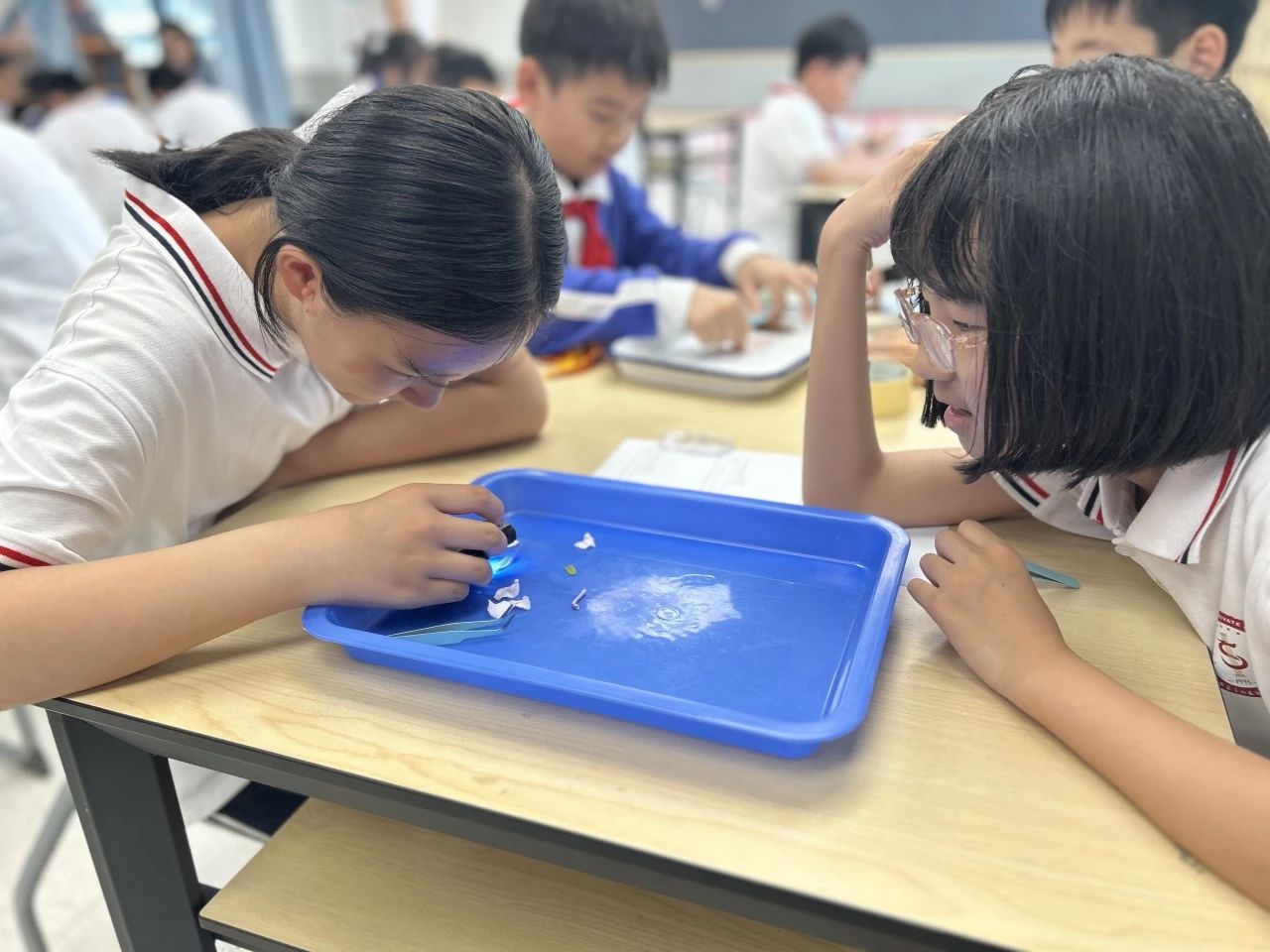 【立小•访学】童行粤港澳 访学友谊校｜粤港澳名校访学纪实