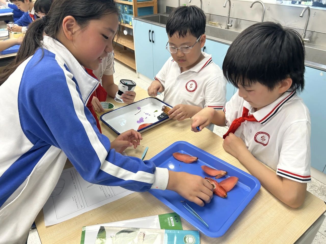 【立小•访学】童行粤港澳 访学友谊校｜粤港澳名校访学纪实