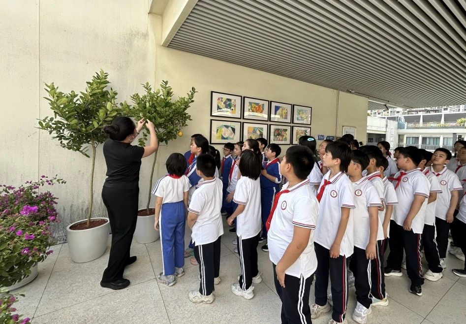 【立小•访学】童行粤港澳 访学友谊校｜粤港澳名校访学纪实