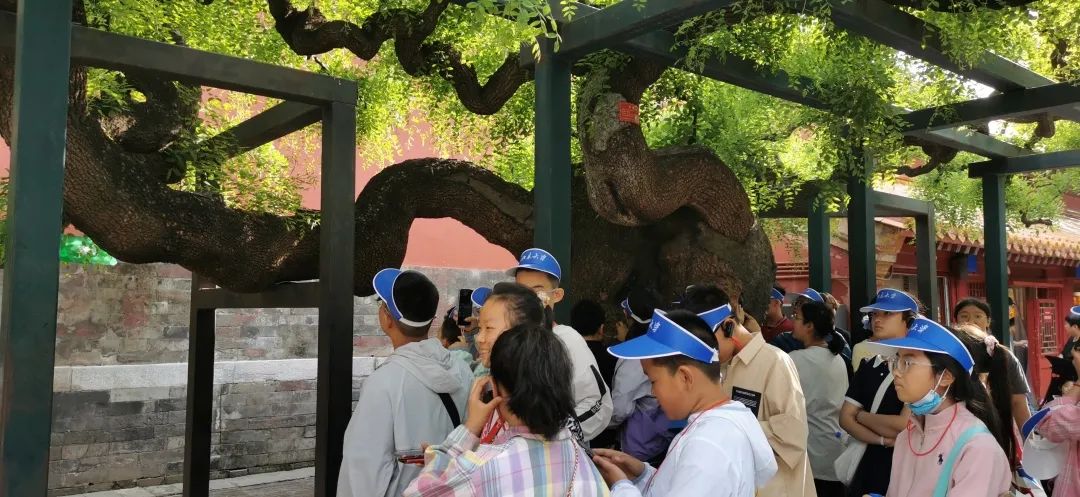 【立小 • 毕业】嘿，小侠们的“京”彩旅行来啦~｜小初衔接部毕业活动纪实
