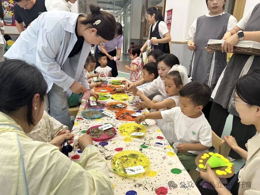 【宝龙托育】当六一撞上端午“艾”与童趣共同开启