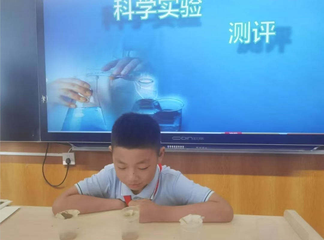 【立小欢迎你】只有万紫千红的课程 才能绽放百花齐放的生命 「贰」