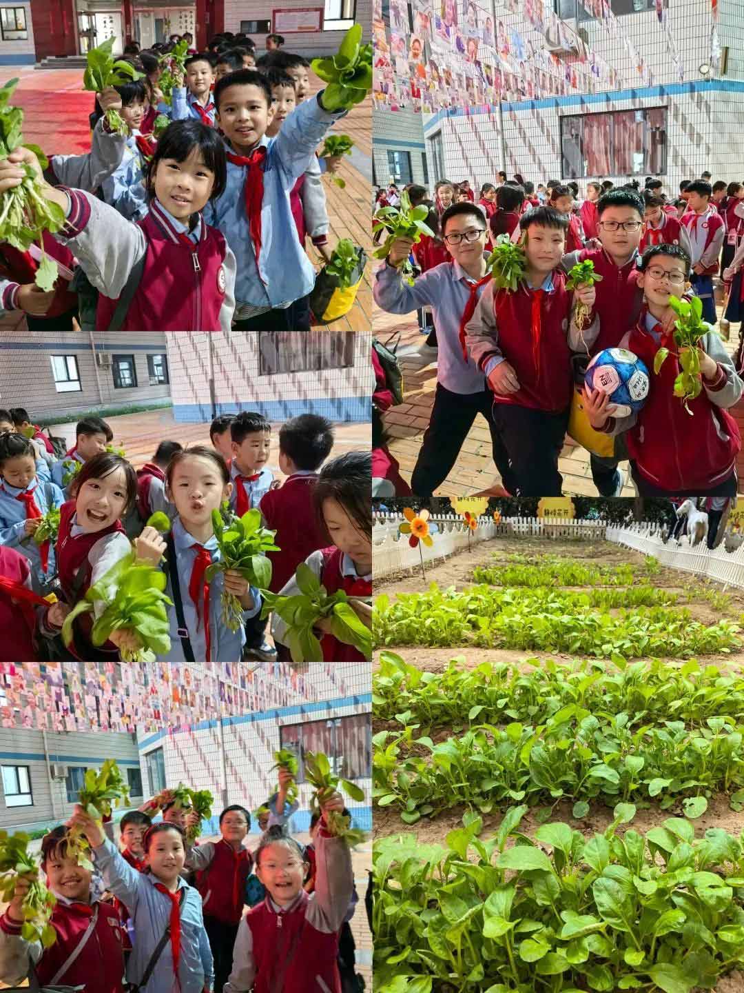 【立小欢迎你】教育没有围墙 世界才是课堂 「叁」