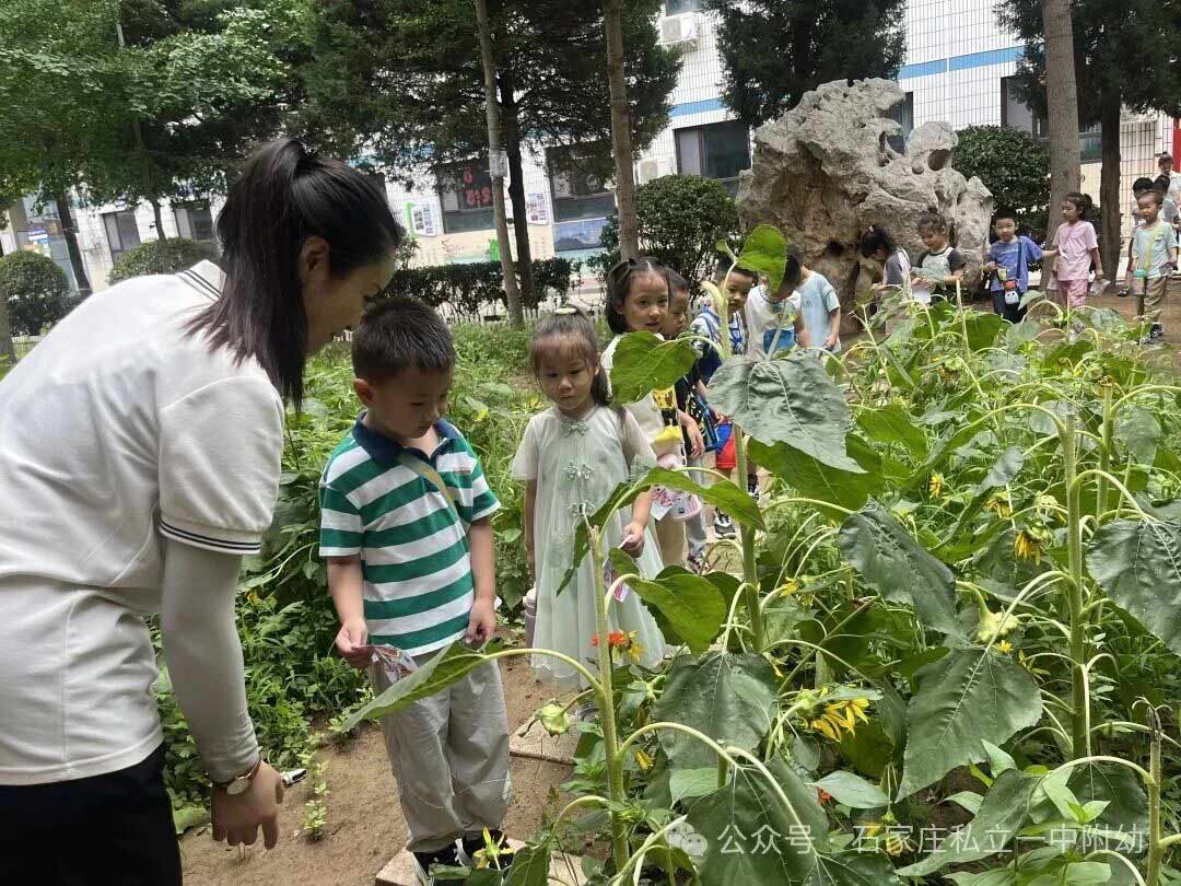 【私立一中幼儿园】中班精品班补录中