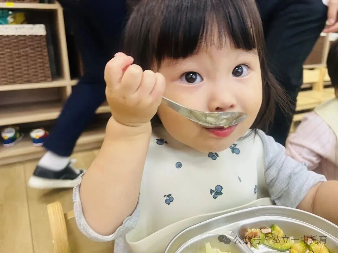 【宝龙托育】1-2岁为什么上托育