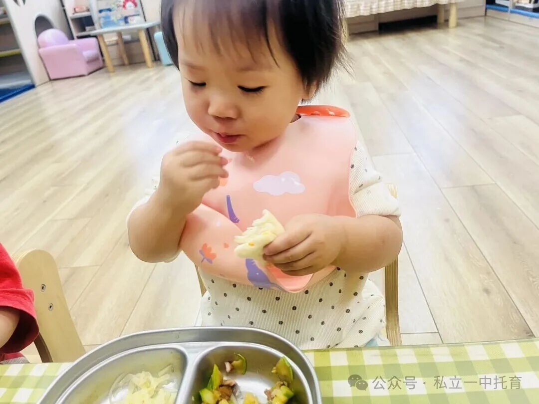 【宝龙托育】1-2岁为什么上托育