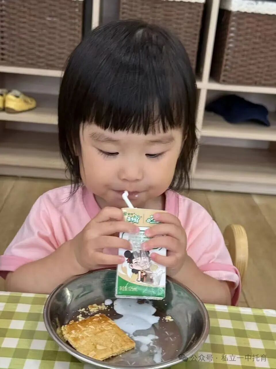 【宝龙托育】1-2岁为什么上托育