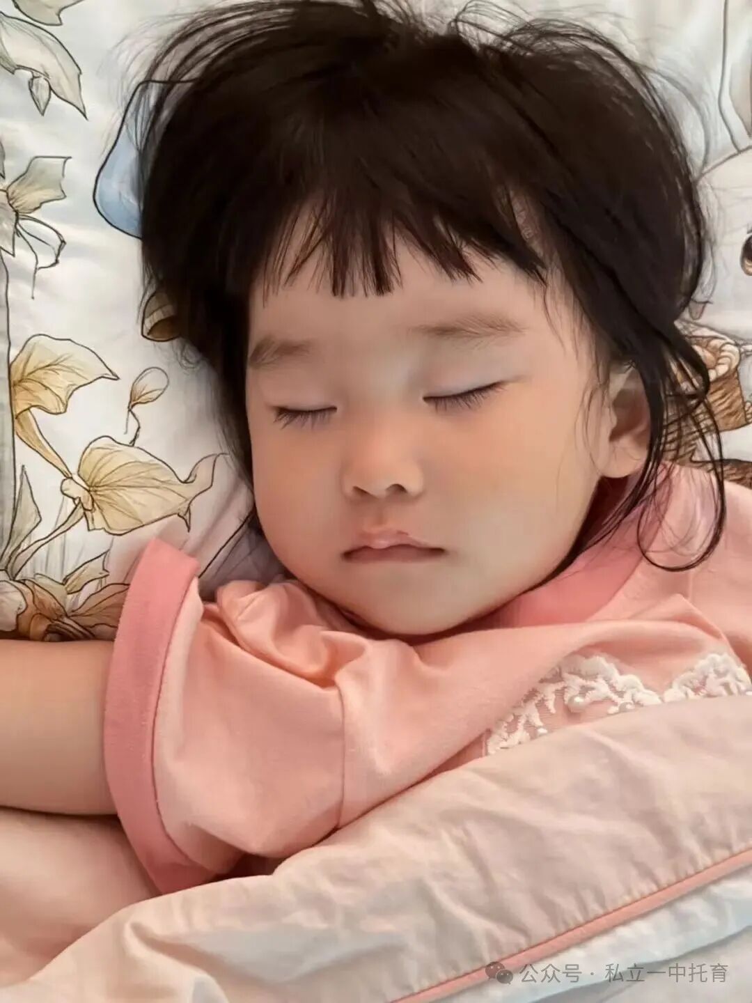 【宝龙托育】1-2岁为什么上托育