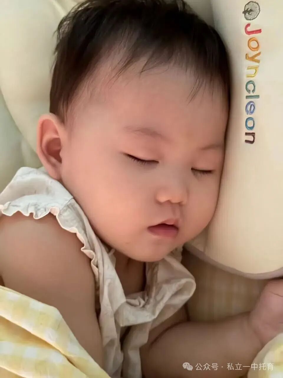 【宝龙托育】1-2岁为什么上托育