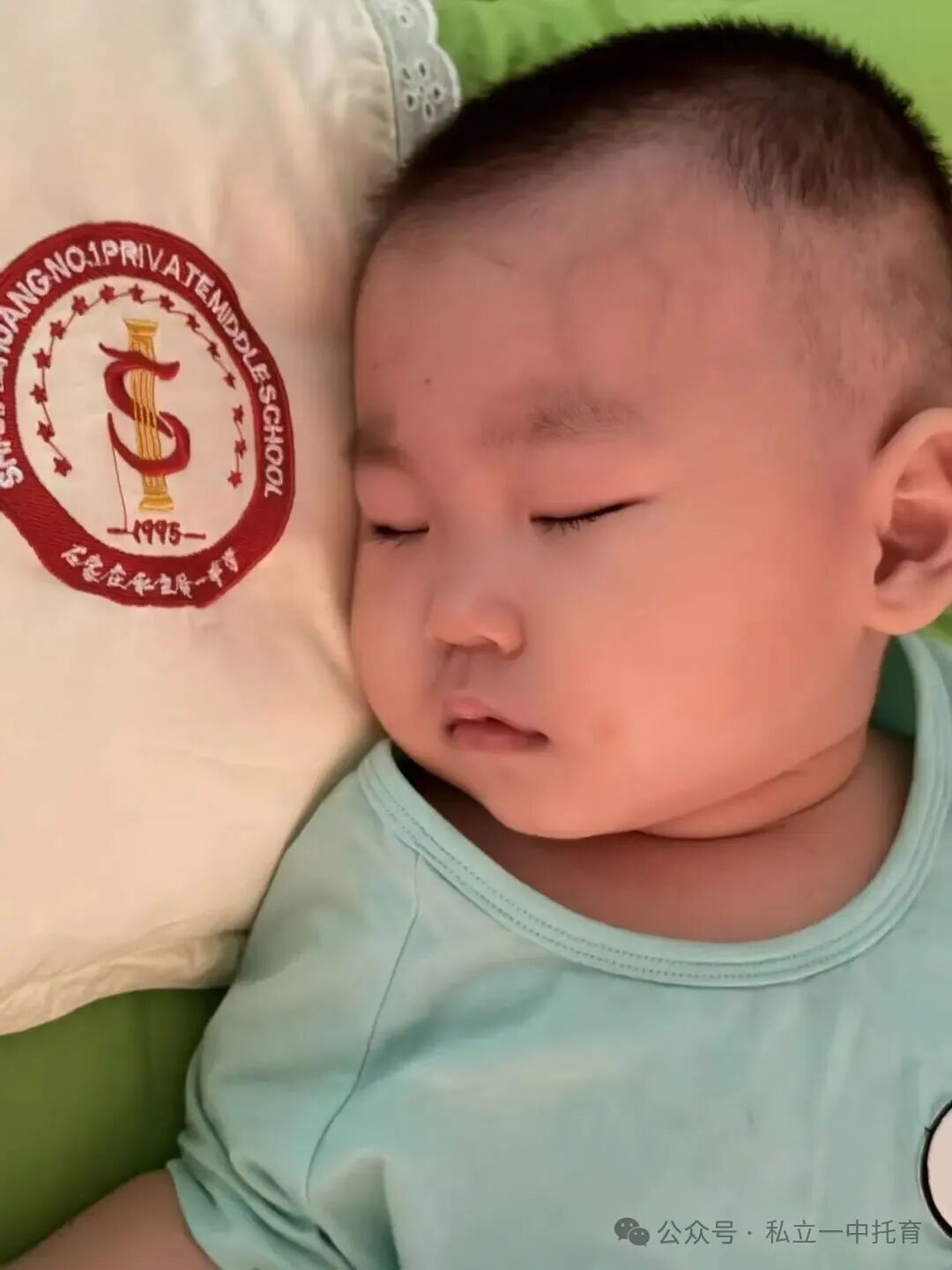 【宝龙托育】1-2岁为什么上托育