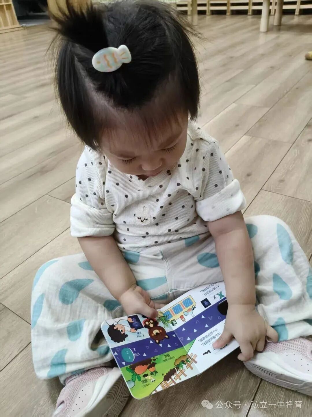 【宝龙托育】1-2岁为什么上托育
