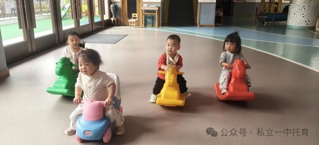 【宝龙托育】1-2岁为什么上托育