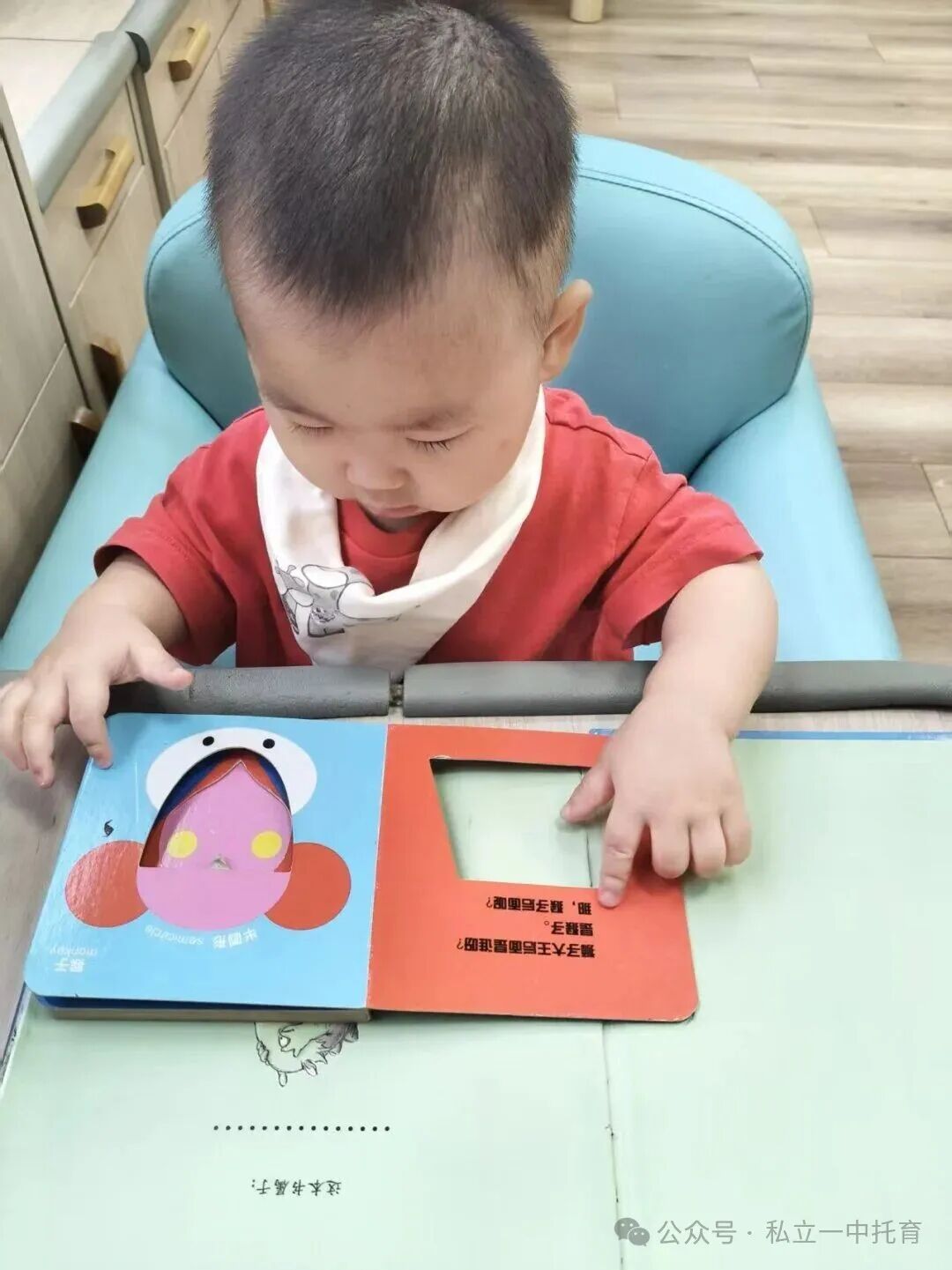 【宝龙托育】1-2岁为什么上托育