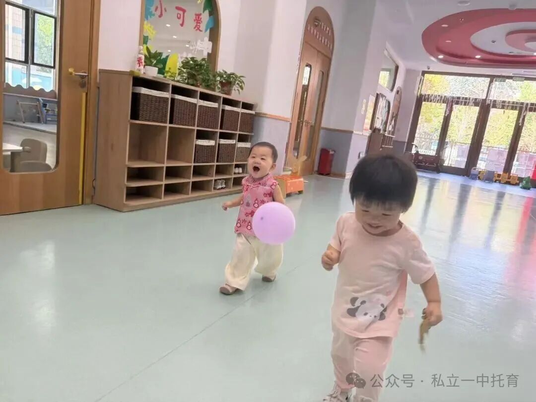 【宝龙托育】1-2岁为什么上托育