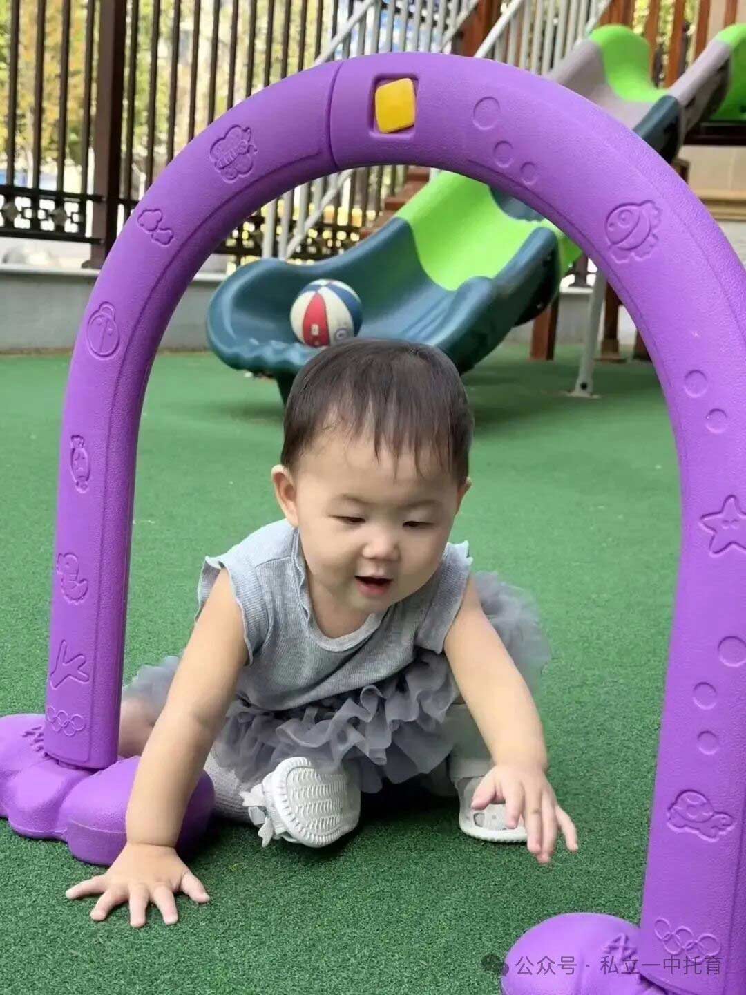 【宝龙托育】1-2岁为什么上托育