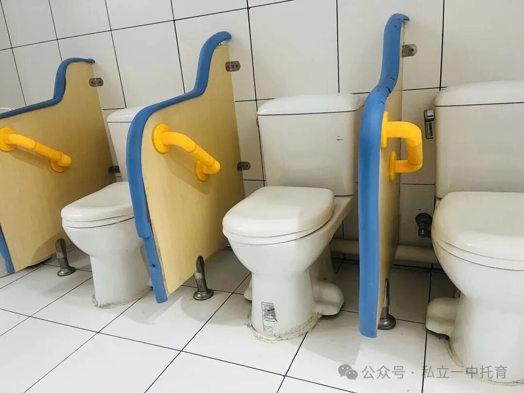 【宝龙托育】1-2岁为什么上托育