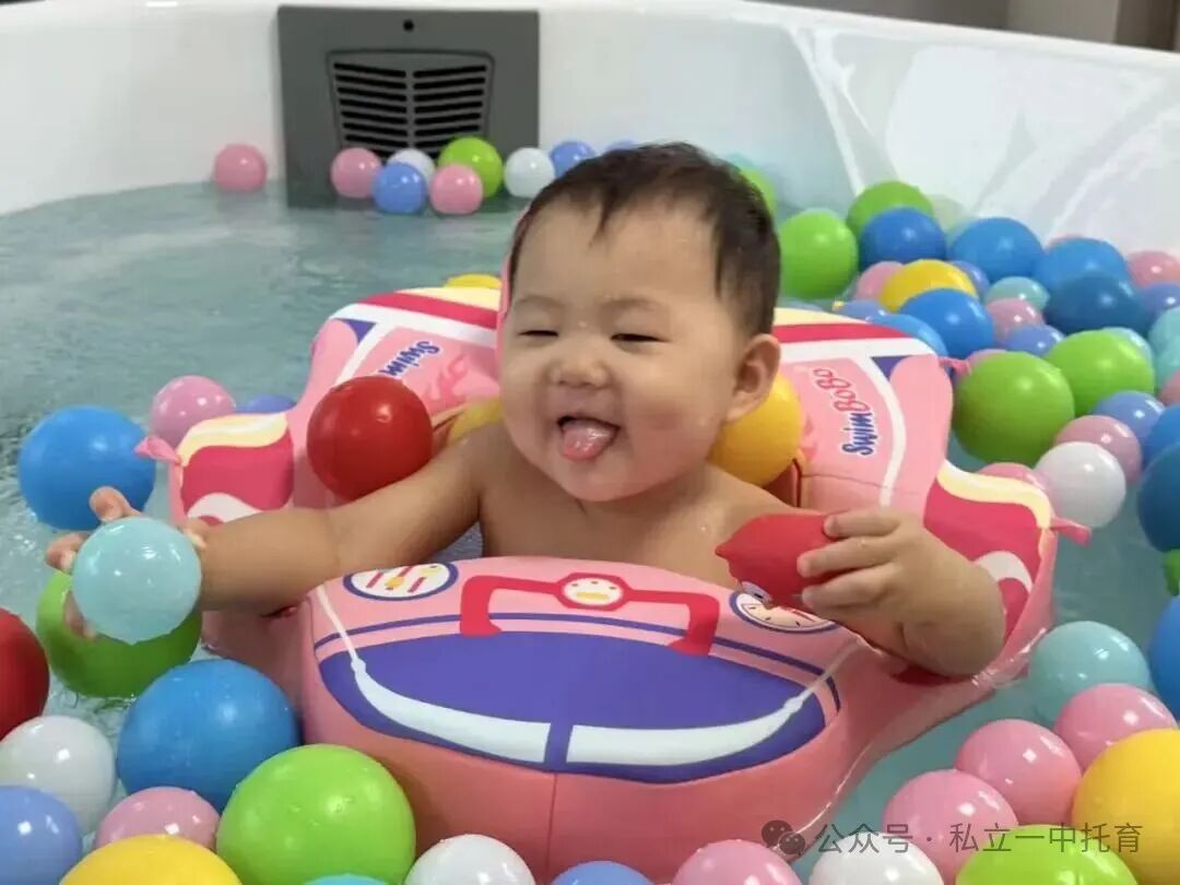 【宝龙托育】1-2岁为什么上托育