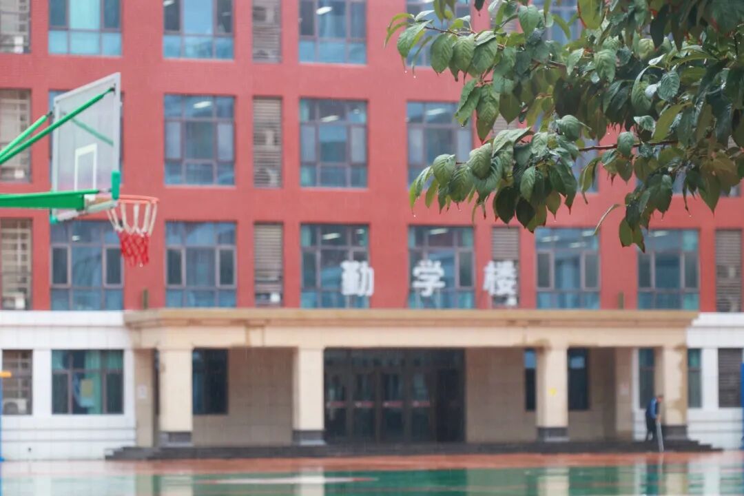雨中秋色，私立一中美成一幅画！