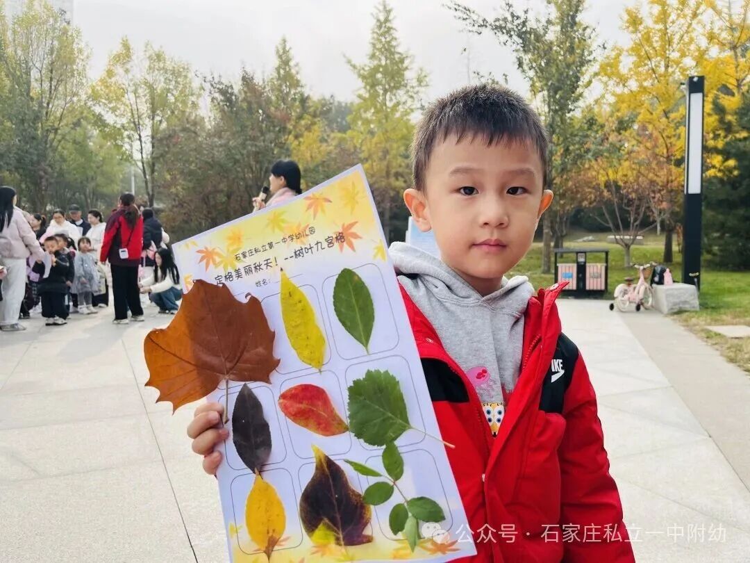 【秋游季】“寻秋趣，乐相伴”亲子秋游活动