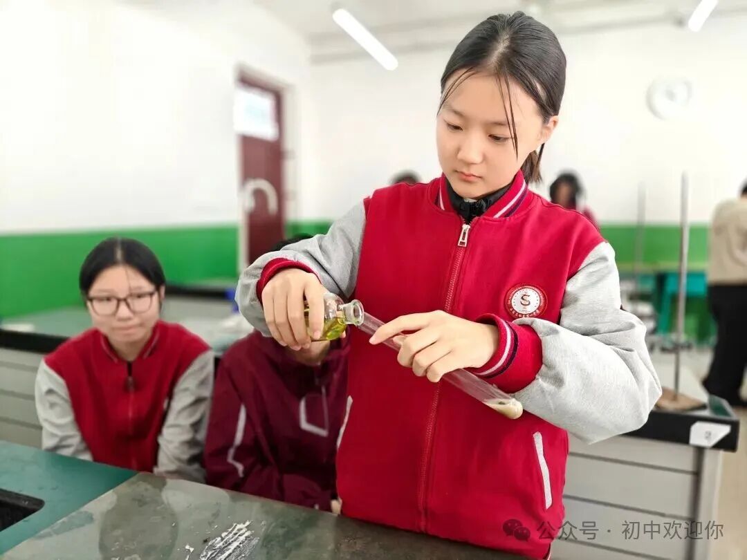 让知识跳出课本，用实践激发潜能 | 私立一中初中部日常实验课堂