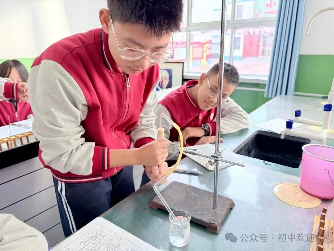让知识跳出课本，用实践激发潜能 | 私立一中初中部日常实验课堂
