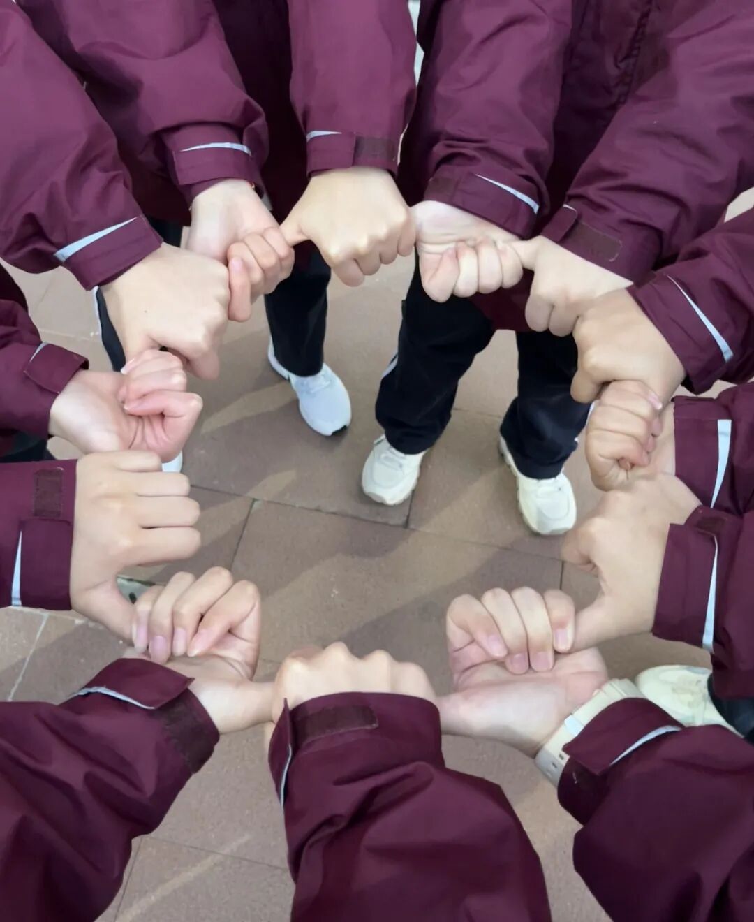 嗨！介绍一下，这是我的校园搭子！