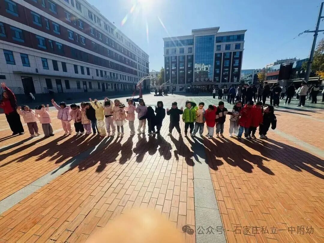 【户外活动】阳光下的成长乐章