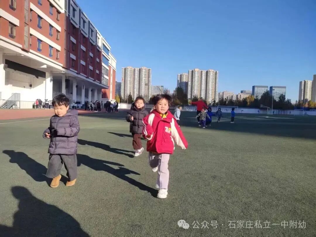 【户外活动】阳光下的成长乐章