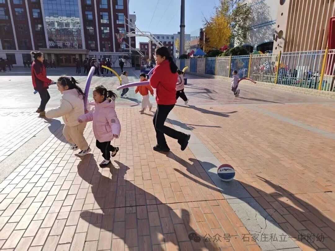 【户外活动】阳光下的成长乐章