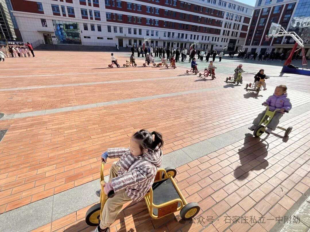 【户外活动】阳光下的成长乐章