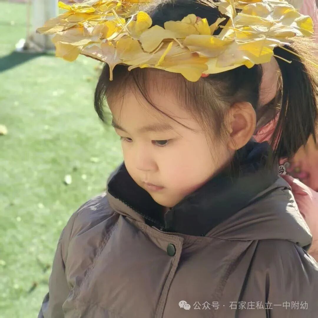 【户外活动】阳光下的成长乐章