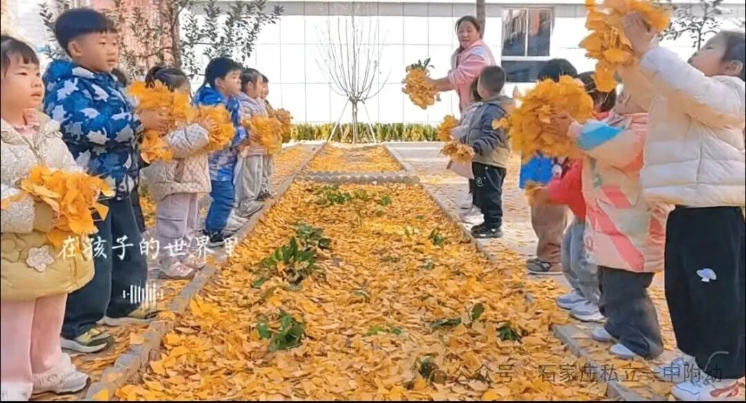 【户外活动】阳光下的成长乐章